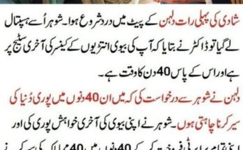 Best Gaming Monitors