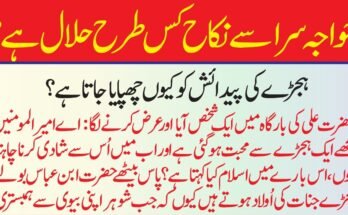 Solar Panel Installation