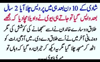 Highest Paying Affiliate Programs