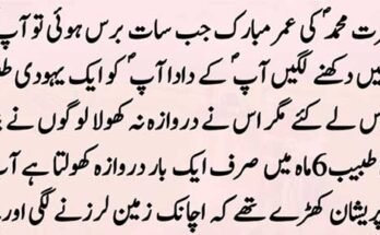 Best Coding Bootcamps in 2025