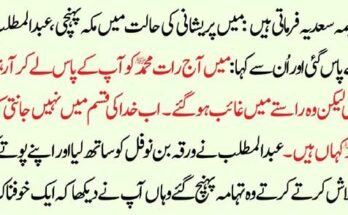 Top DeFi Investment Platforms to Watch in 2025