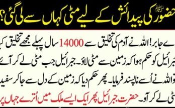 Bitcoin Trading Platform USA