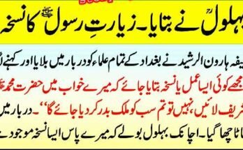 Esports Betting Sites The Full Guide