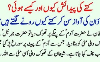 Houston Trucking Accident Attorneys