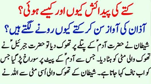 Houston Trucking Accident Attorneys