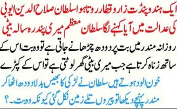 Online MBA Programs in 2025