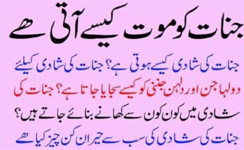 Bitcoin: A Comprehensive Guide to the World’s First Cryptocurrency