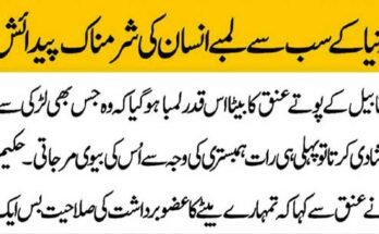 Auto Accident Attorneys in Colorado Springs