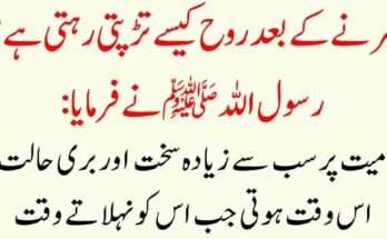 How to Earn Passive Income on Binance