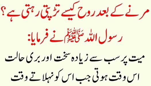 How to Earn Passive Income on Binance