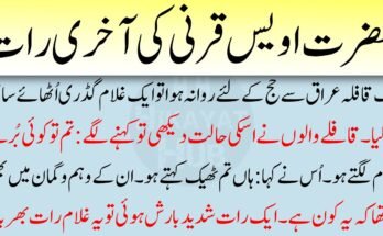 Business Insurance Quotes: The Complete Guide for Entrepreneurs