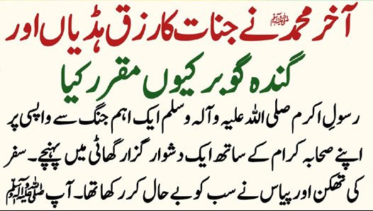 Home Insurance in 2025: Trends