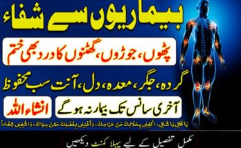 Best Mesothelioma Lawyer